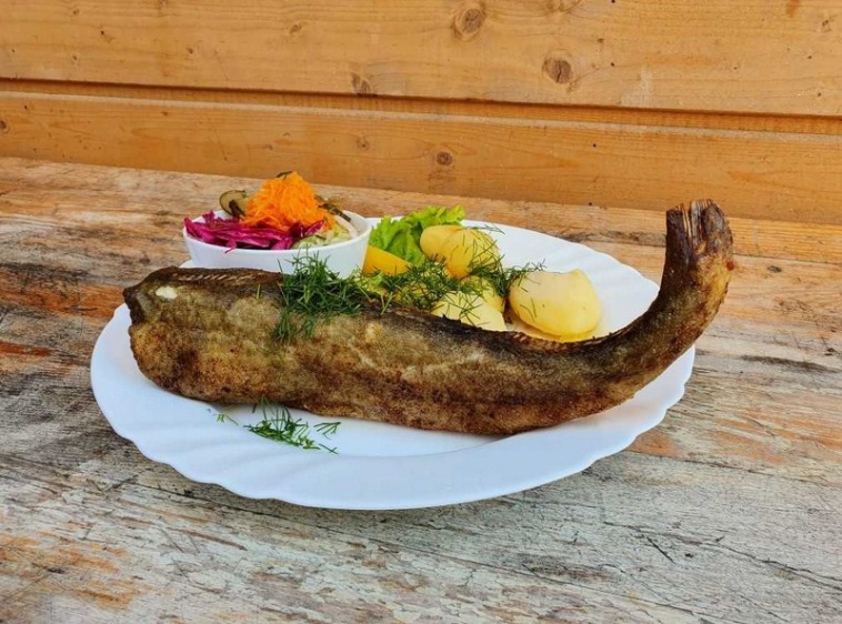 Smażalnia ryb u KASZUBA 