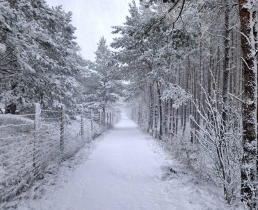 Dębki zimą &ndash; idealne na relaks